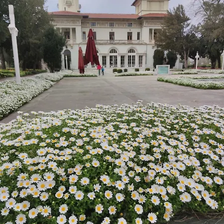 An Tale An Dream The Bosphorus 3 Lägenhet Istanbul