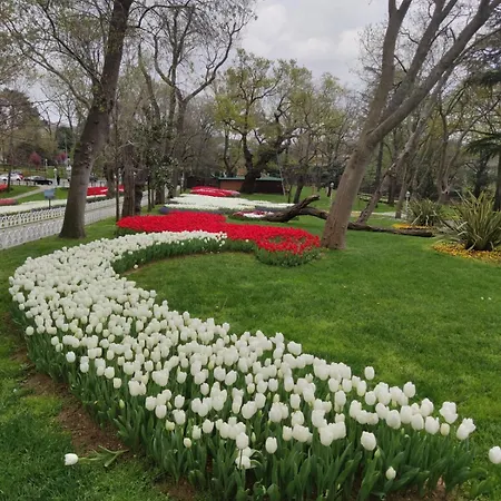 An Tale An Dream The Bosphorus 3 * Provincia di Istanbul