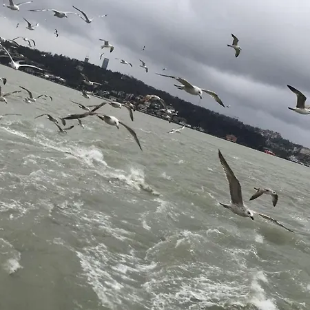 Apartment An Tale An Dream The Bosphorus 3 *