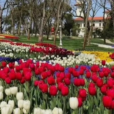 Apartment An Tale An Dream The Bosphorus 3 *