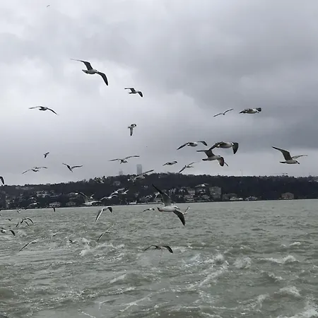 アパート An Tale An Dream The Bosphorus 3